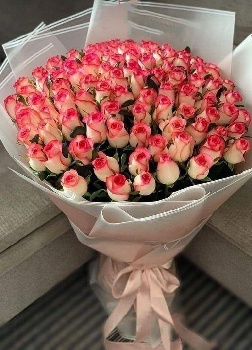 Crimson Embrace Blossom Collection